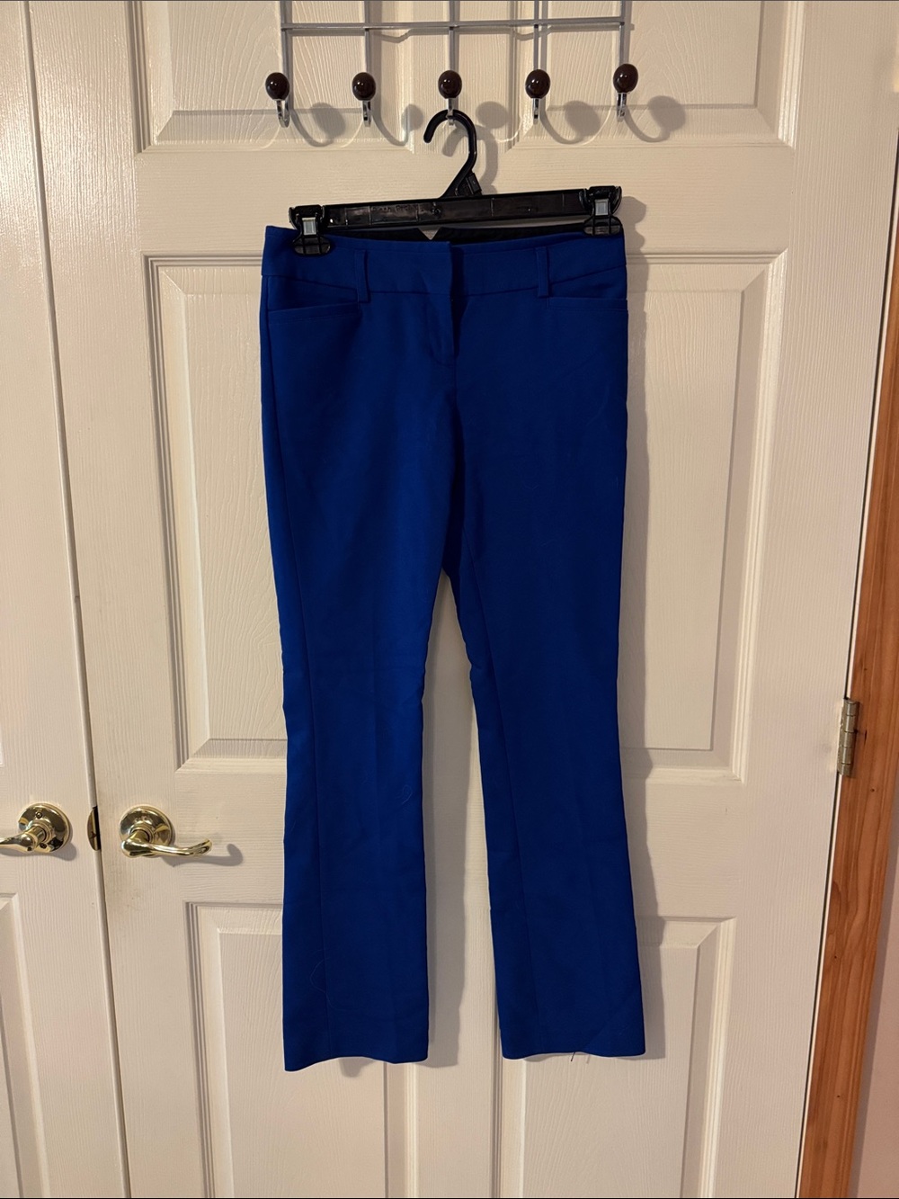 Express Cobalt Blue Boot Cut Pants
